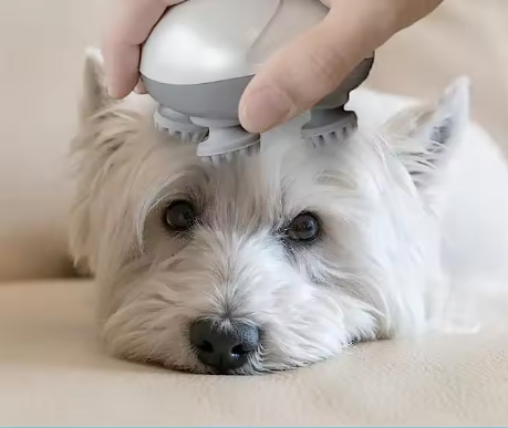 Cachorro pequeno e fofo aproveitando massagem relaxante com expressão de puro prazer